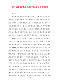 2025年党建领导小组工作会议上的讲话