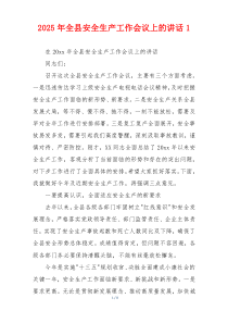 2025年全县安全生产工作会议上的讲话1