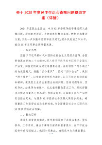 关于2025年度民主生活会查摆问题整改方案（详情）