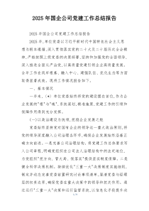 2025年国企公司党建工作总结报告