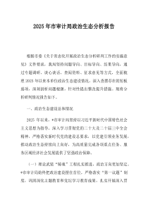 2025年市审计局政治生态分析报告(优选)