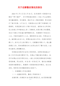 关于巡察整改情况的报告