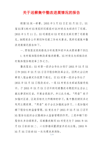 关于巡察集中整改进展情况的报告