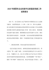 2025年度国有企业党委书记抓基层党建工作述职报告(优选)