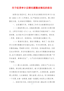 关于经责审计反馈问题整改情况的报告