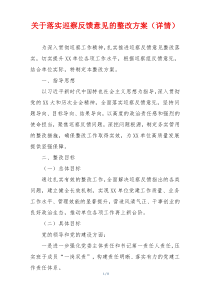 关于落实巡察反馈意见的整改方案（详情）