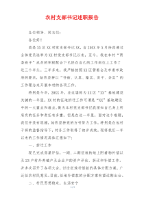 农村支部书记述职报告