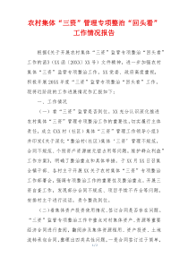 农村集体“三资”管理专项整治“回头看”工作情况报告