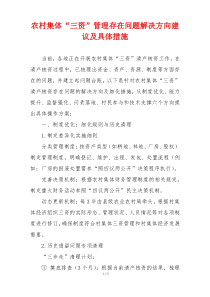 农村集体“三资”管理存在问题解决方向建议及具体措施