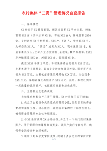 农村集体“三资”管理情况自查报告