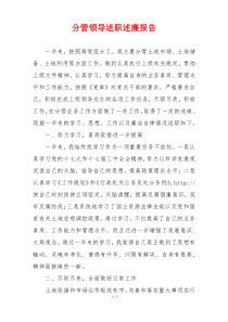 分管领导述职述廉报告