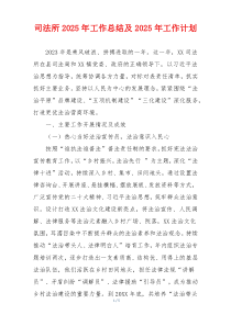 司法所2025年工作总结及2025年工作计划