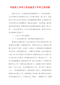 司法所上半年工作总结及下半年工作安排