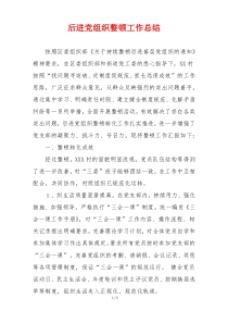 后进党组织整顿工作总结