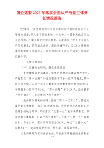 国企党委2025年落实全面从严治党主体责任情况报告