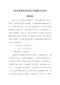 农业农村局党支部20XX年度落实主体责任述职报告