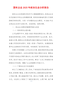 国有企业2025年政治生态分析报告