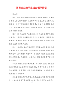 国有企业改革推进会领导讲话