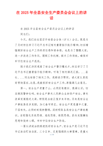 在2025年全县安全生产委员会会议上的讲话