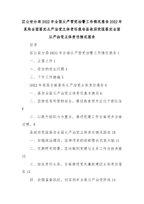 区公安分局20XX年全面从严管党治警工作情况报告20XX年某局全面落实从严治党主体责任报告县政府党组