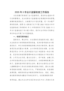 (整理)2025年X市会计监督检查工作报告