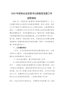 (整理)2025年国有企业党委书记抓基层党建工作述职报告