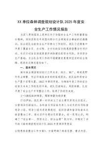 (整理)XX单位森林调查规划设计队2025年度安全生产工作情况报告