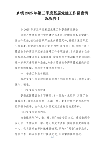 乡镇2025年第三季度基层党建工作督查情况报告1