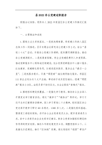 县20XX非公党建述职报告