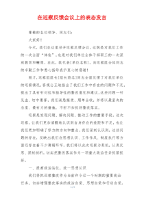 在巡察反馈会议上的表态发言
