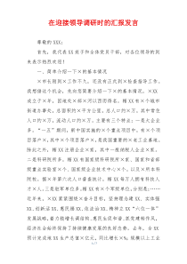 在迎接领导调研时的汇报发言