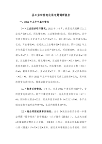 县工业和信息化局专题调研报告