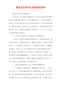 基层党支部书记述职报告范例