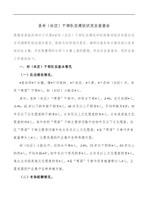 县村社区干部队伍建设状况自查报告