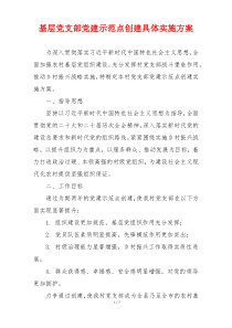 基层党支部党建示范点创建具体实施方案