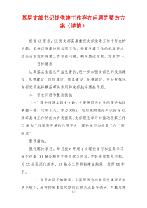 基层支部书记抓党建工作存在问题的整改方案（详情）
