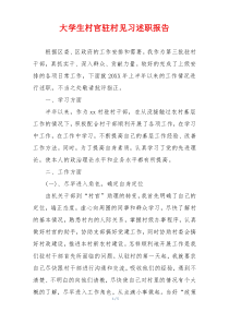 大学生村官驻村见习述职报告