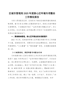(整理)区城市管理局2025年度核心区环境专项整治工作情况报告