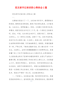 党支部书记培训班心得体会2篇