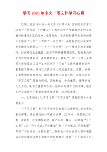 学习2025年中央一号文件学习心得