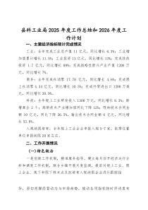 (整理)县科工业局2025年度工作总结和2026年度工作计划