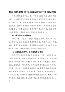 (整理)县自然资源局2025年度河长制工作情况报告