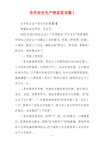 全市安全生产表态发言篇1
