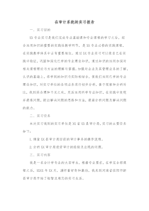 在审计系统的实习报告