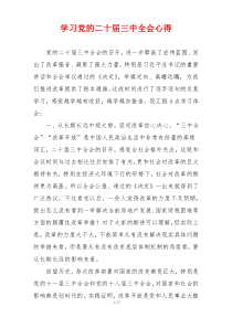 学习党的二十届三中全会心得