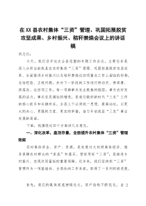 (整理)在2025年全县农村集体“三资”管理、巩固拓展脱贫攻坚成果、乡村振兴、秸秆禁烧会议上的讲话稿