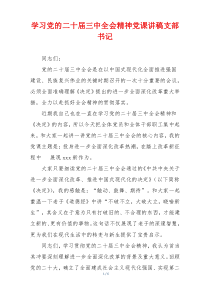 学习党的二十届三中全会精神党课讲稿支部书记