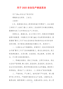 关于2025安全生产表态发言