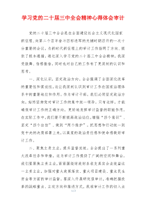 学习党的二十届三中全会精神心得体会审计