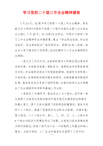 学习党的二十届三中全会精神感悟